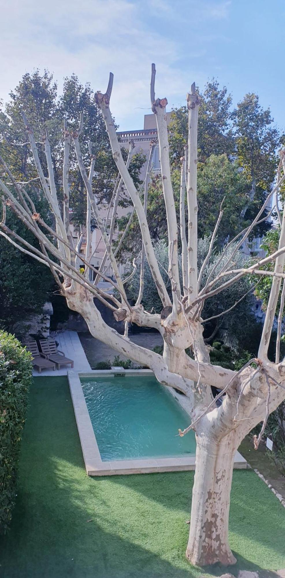 Maison D'Hotes La Bastide De Patou, Suite De 2 A 6 Personnes Marsella Exterior foto